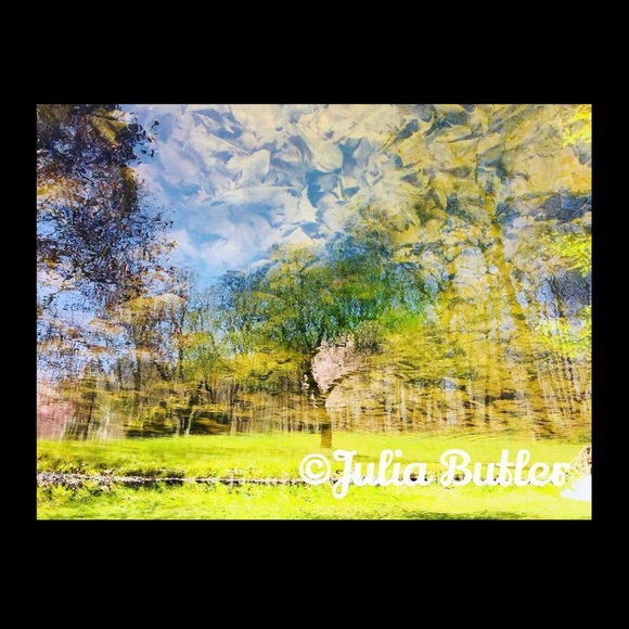 Wall Art!!! - Picture 1 of 3